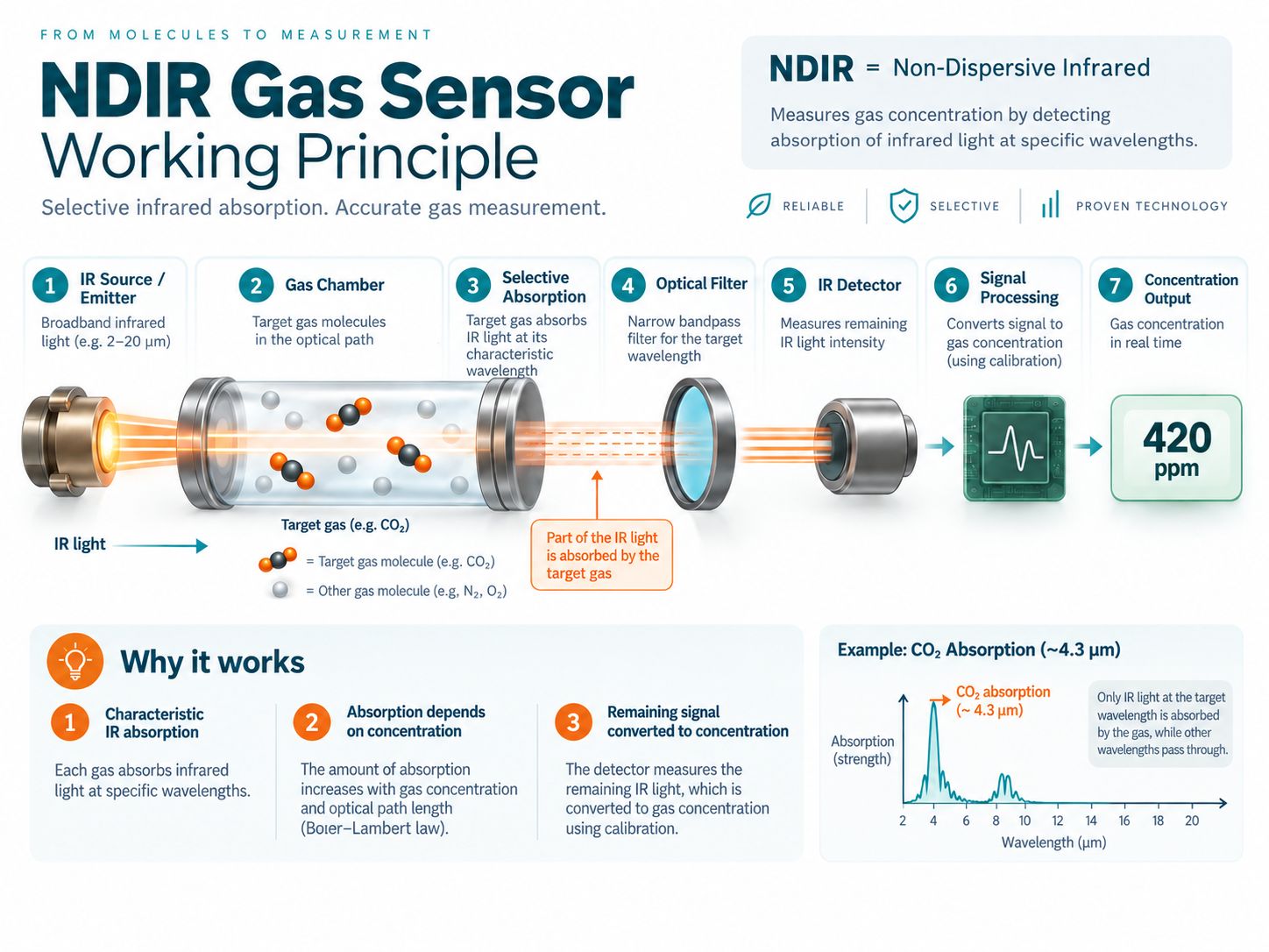 NDIR gas sensor working principle showing infrared source gas chamber absorption filter detector and concentration output